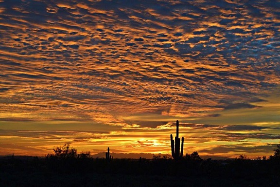 Types of Balloon Rides - Arizona Hot Air Balloons